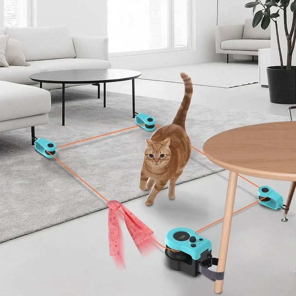 Purrhunts™