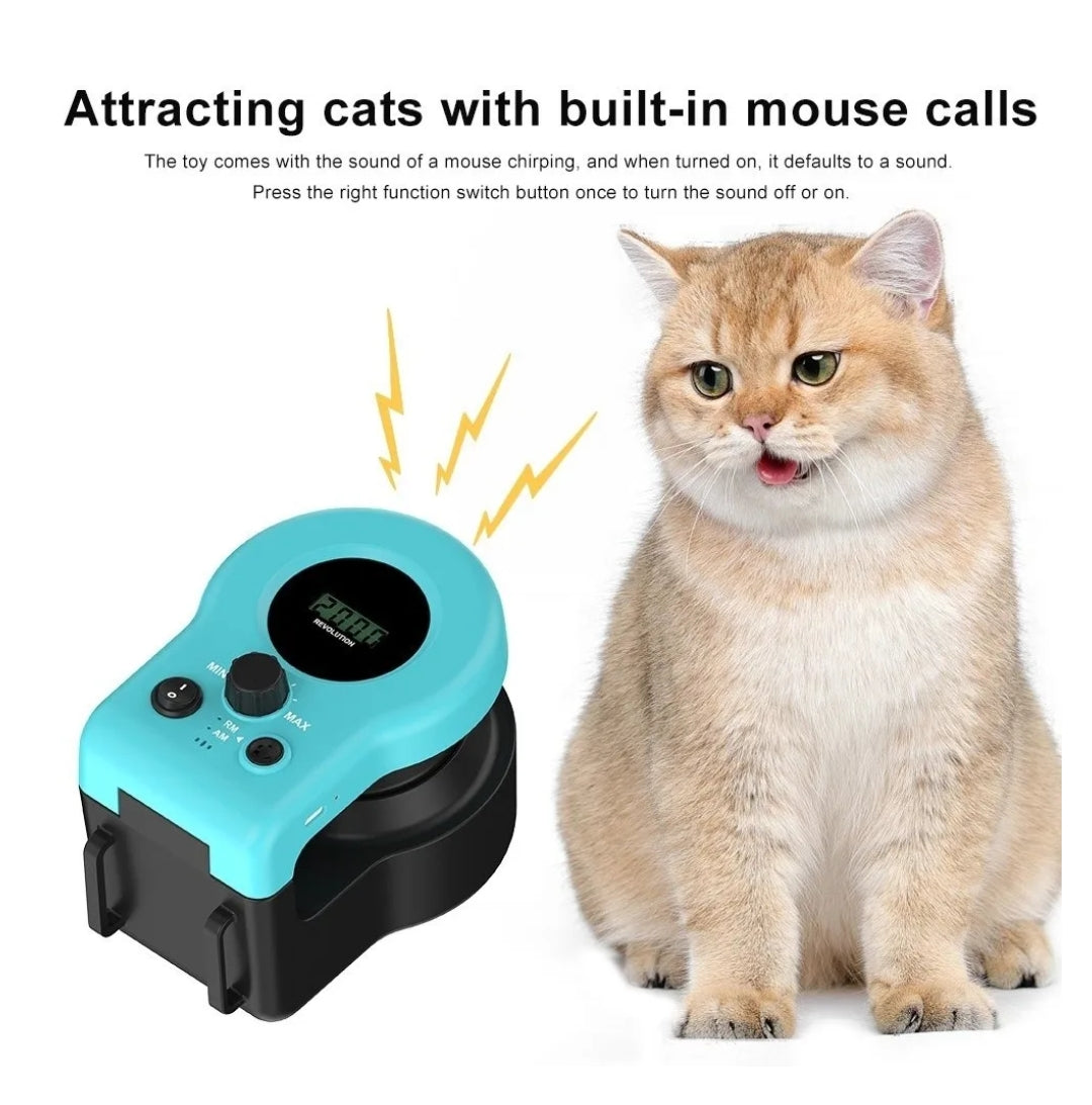 Purrhunts™