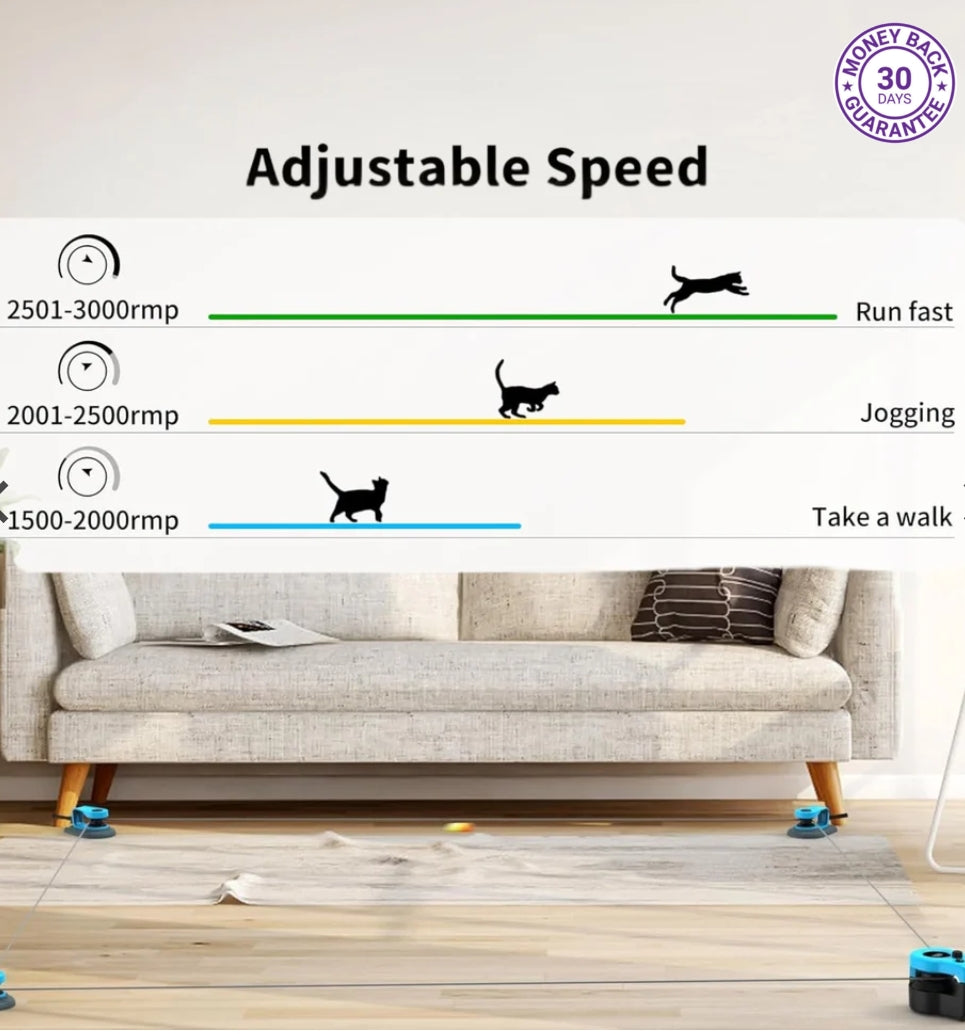 Purrhunts™