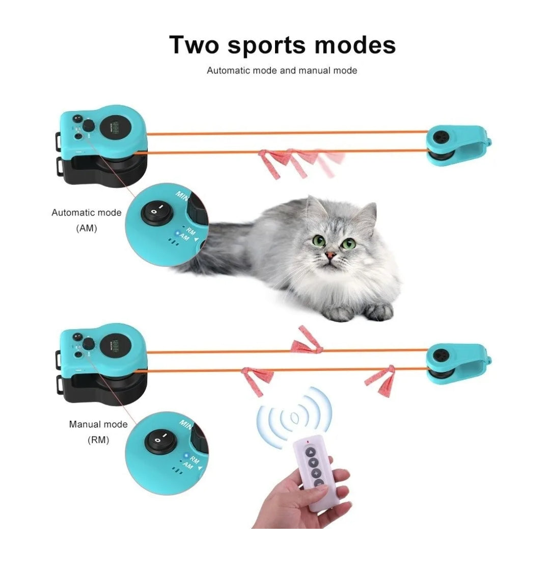 Purrhunts™